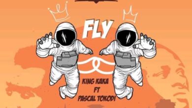 KING KAKA & PASCAL TOKODI - FLY Lyrics