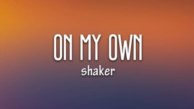 Shaker - On My Own Lyrics