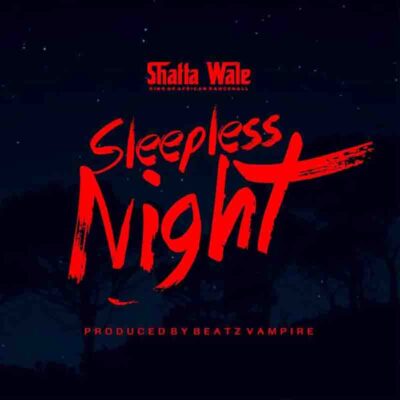 Shatta Wale - Sleepless Night lyrics