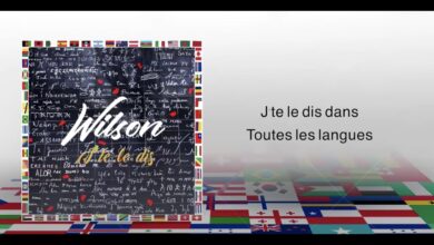 Wilson - J'te Le Dis lyrics