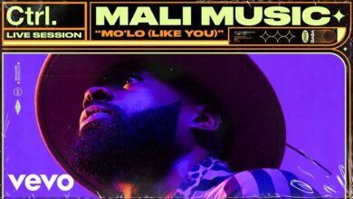 Mali Music - Mo’Lo (Like You) lyrics