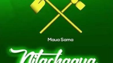 Maua Sama - CCM (Nitachagua MAFANIKIO) Lyrics