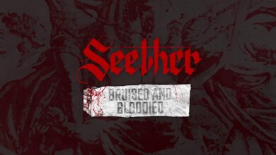 Seether – Bruised and Bloodied Lyrics