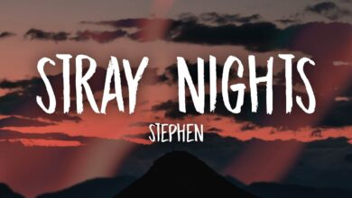 Stephen - Stray Nights Lyrics