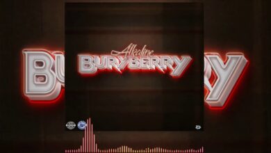Alkaline - Buryberry Lyrics