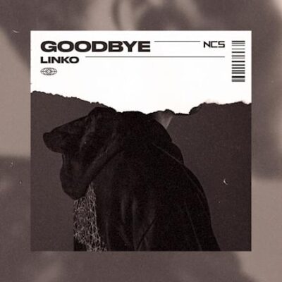 Linko – Goodbye lyrics