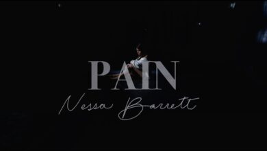 Nessa Barrett - Pain Lyrics