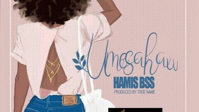 Hamis Bss - Umesahau Lyrics