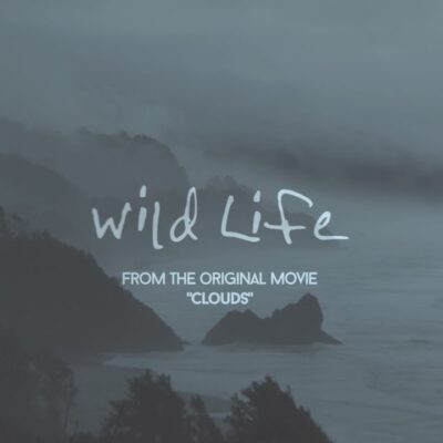 OneRepublic – Wild Life Lyrics