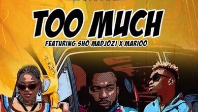 Rj The Dj Ft Sho Madjozi & Marioo - Too Much Lyrics