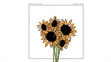 Jake Scott – Like This Lyrics