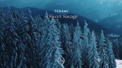 Tchami – Sweet Savage lyrics