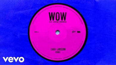 Zara Larsson & Sabrina Carpenter – WOW (Remix) lyrics