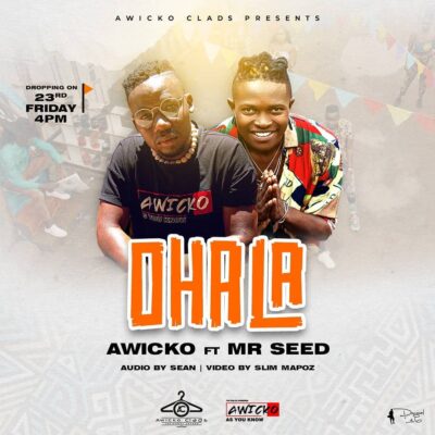 Awicko x Mr Seed - Ohala Lyrics