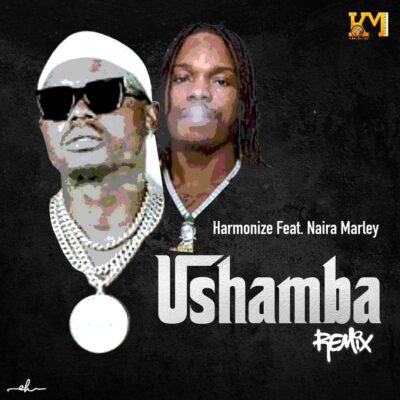 HARMONIZE Ft NAIRA MARLEY - Ushamba Remix Lyrics