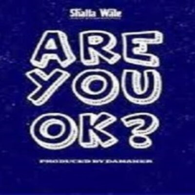 Shatta Wale – Are You Ok Lyrics