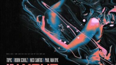 Topic, Robin Schulz, Nico Santos & Paul Van Dyk - In Your Arms (For An Angel) lyrics