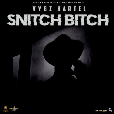 Vybz Kartel - Snitch Bitch Lyrics
