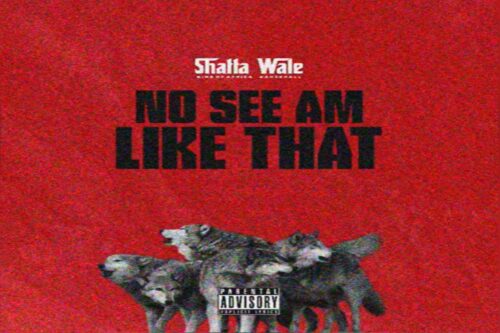 Shatta Wale – No See Am Like That Lyrics