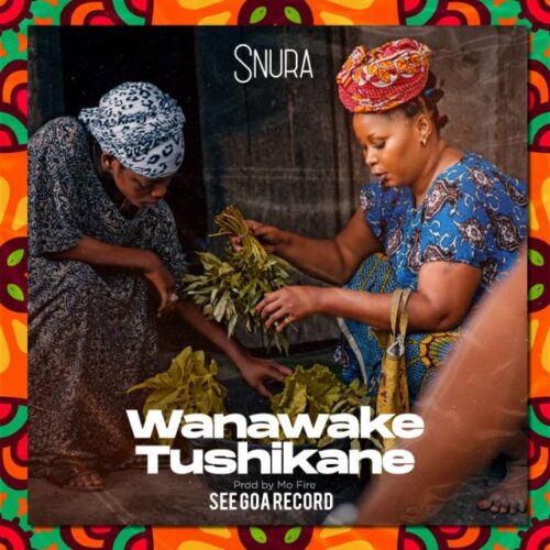 Snura – Wanawake Tushikane