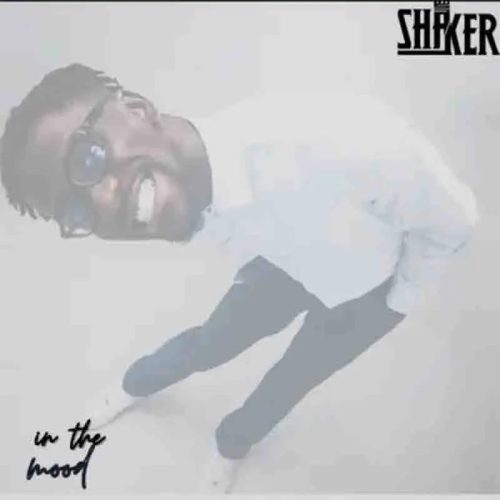 Shaker – In The Mood