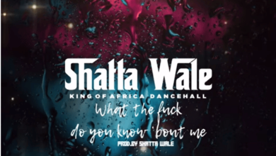Shatta Wale - What The F*ck Do You Know